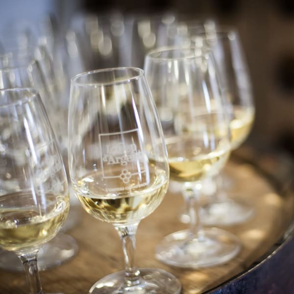 Le Vignoble Le Cep d'Argent