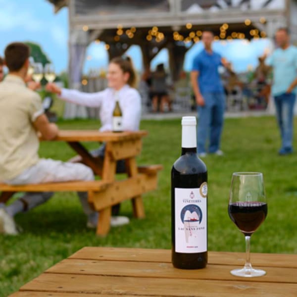 vignoble_vineterra_1