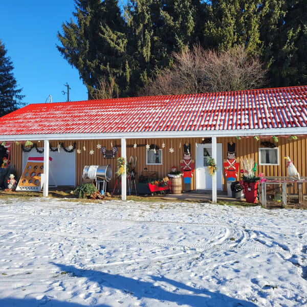 Shop, Plantation des Noëls d'antan.