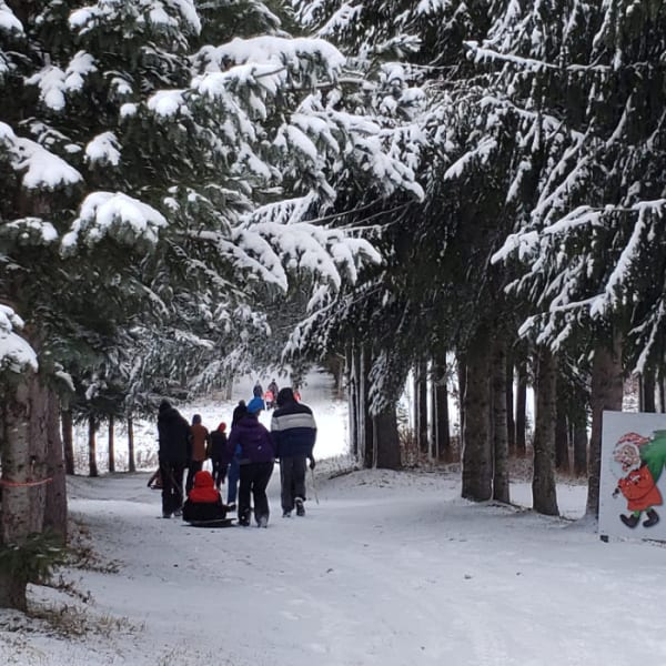 Family walk in the forest. 