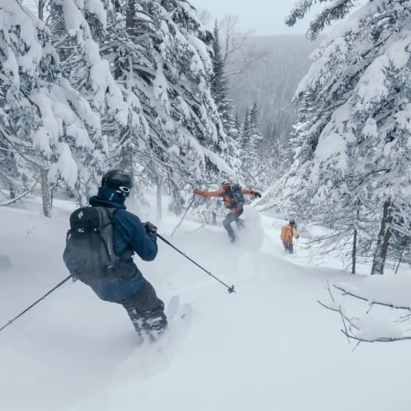 Off-trail skiing at Parc régional du Massif du Sud