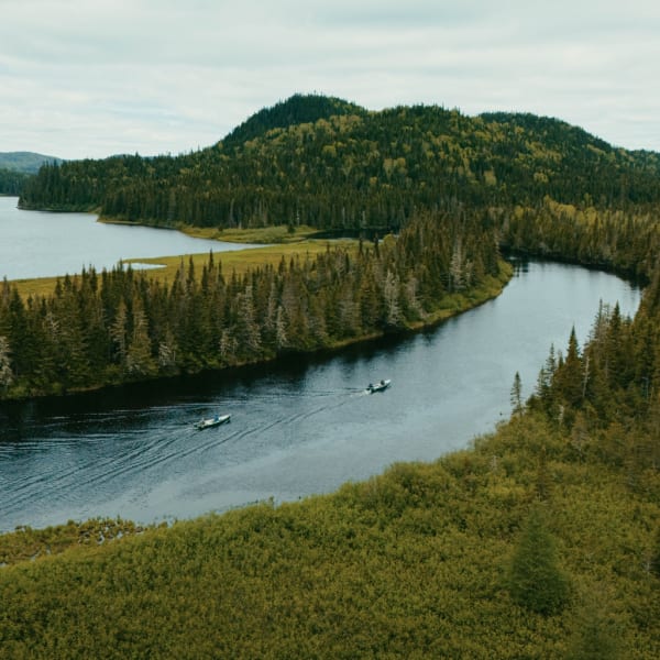 Réserve faunique des Laurentides
