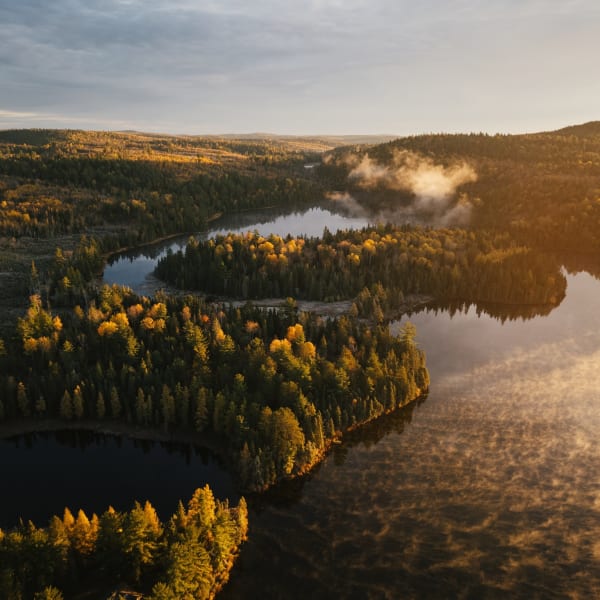 Réserve faunique Mastigouche