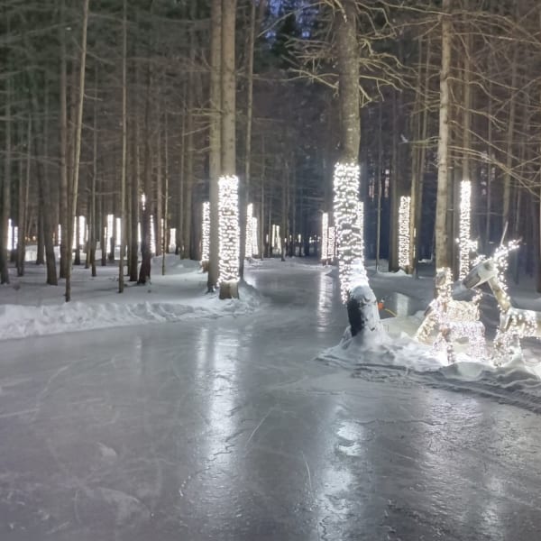 A skating trail through the forest of Lac-Simon.