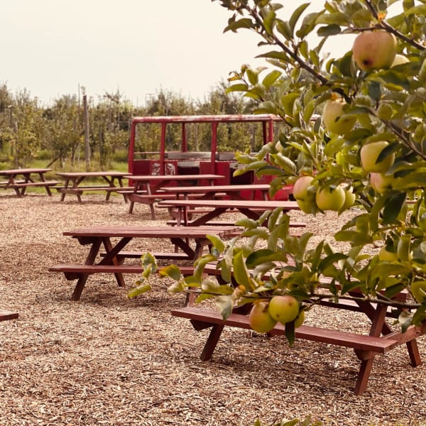 Verger Trois Pommes – Biologique.
