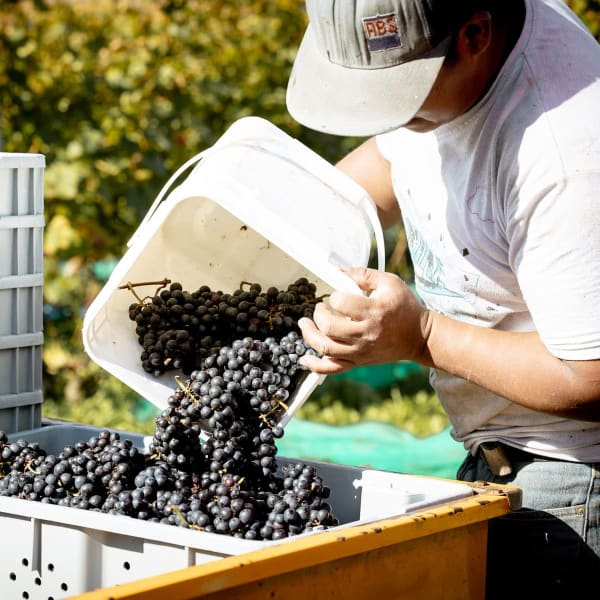 Vignoble et Domaine Beauchemin