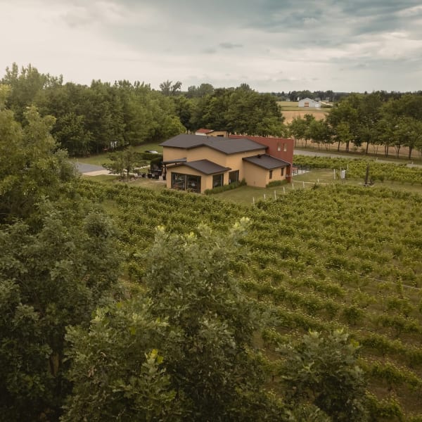 Saint-Thomas Vineyard.
