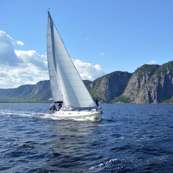 Voile Mercator.