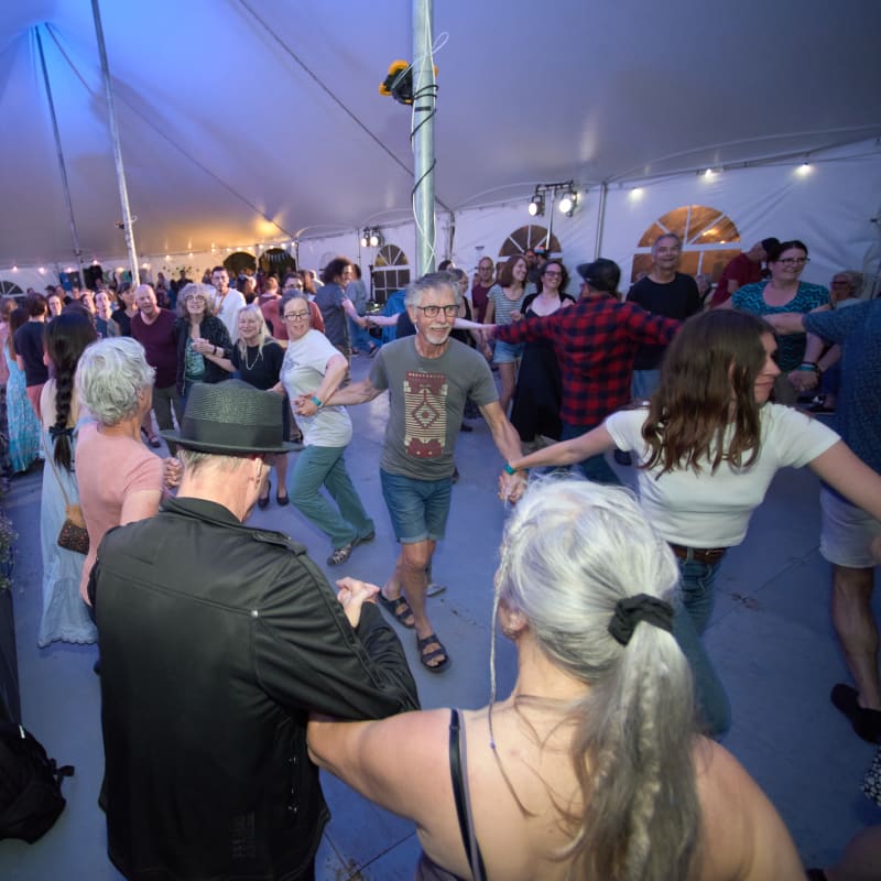 People dancing while holding hands.