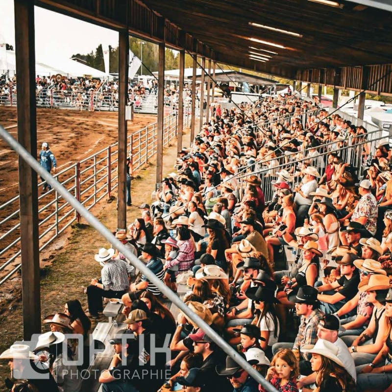Spectateurs d'un rodéo