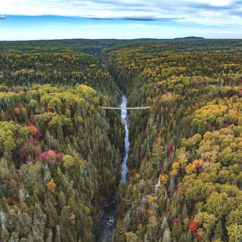 The Peninsula Path: your road trip to adventures in Eastern Québec- Aerial view of a body of water