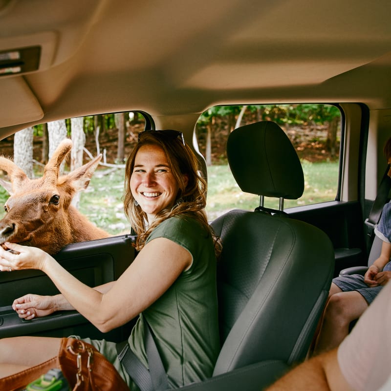 Voyage Through Nature: explore Québec’s outdoor playground - Omega Park