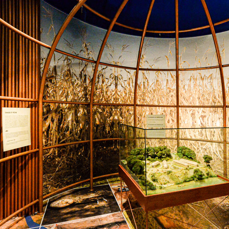 Exposition au Biophare.