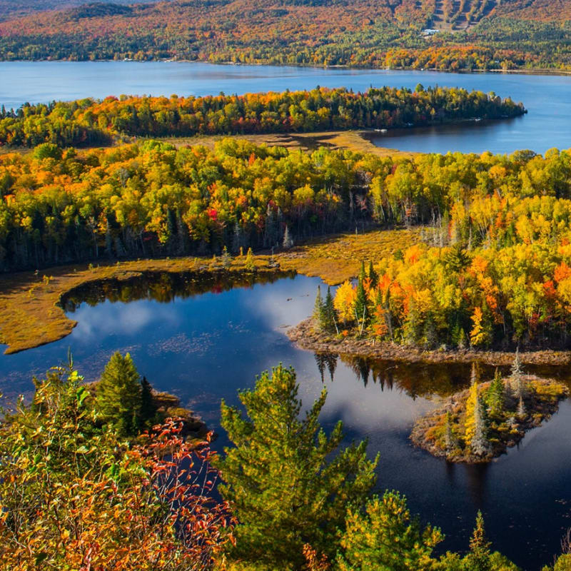 Bonjour Nature