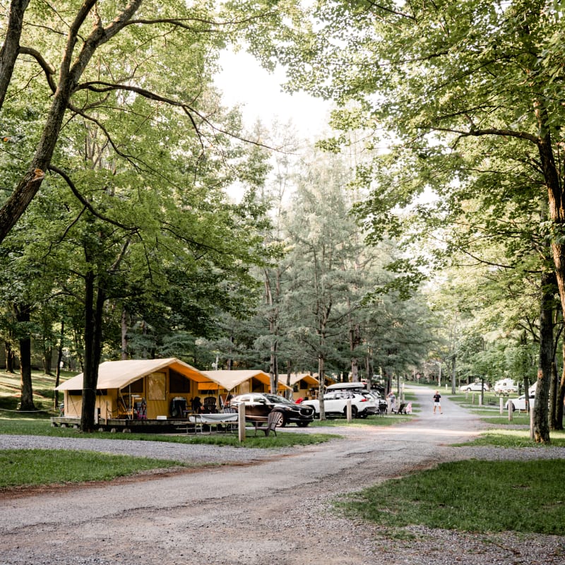Camping des Voltigeurs