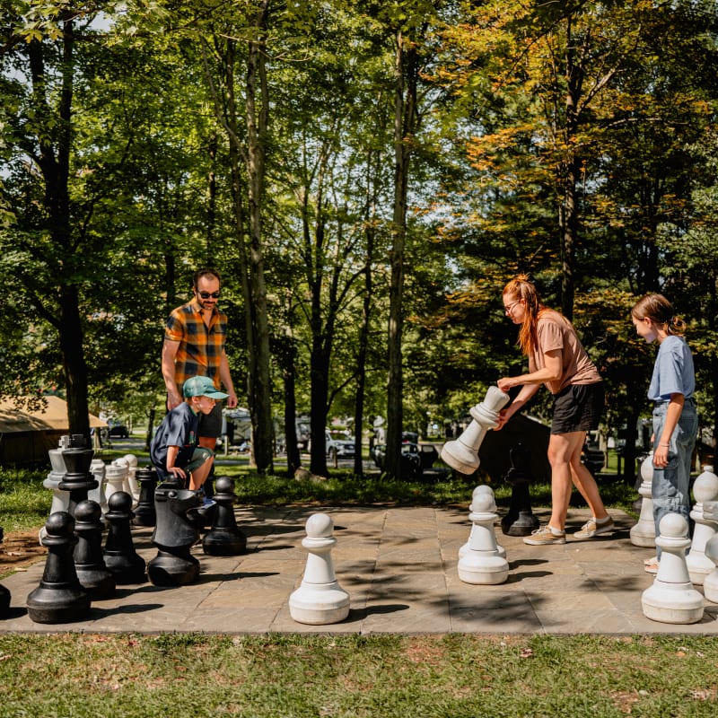 Camping des Voltigeurs