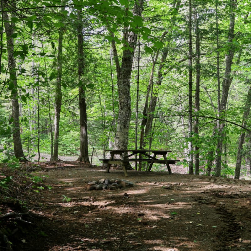 Sommet Morin Heights’ Camping and Cabins