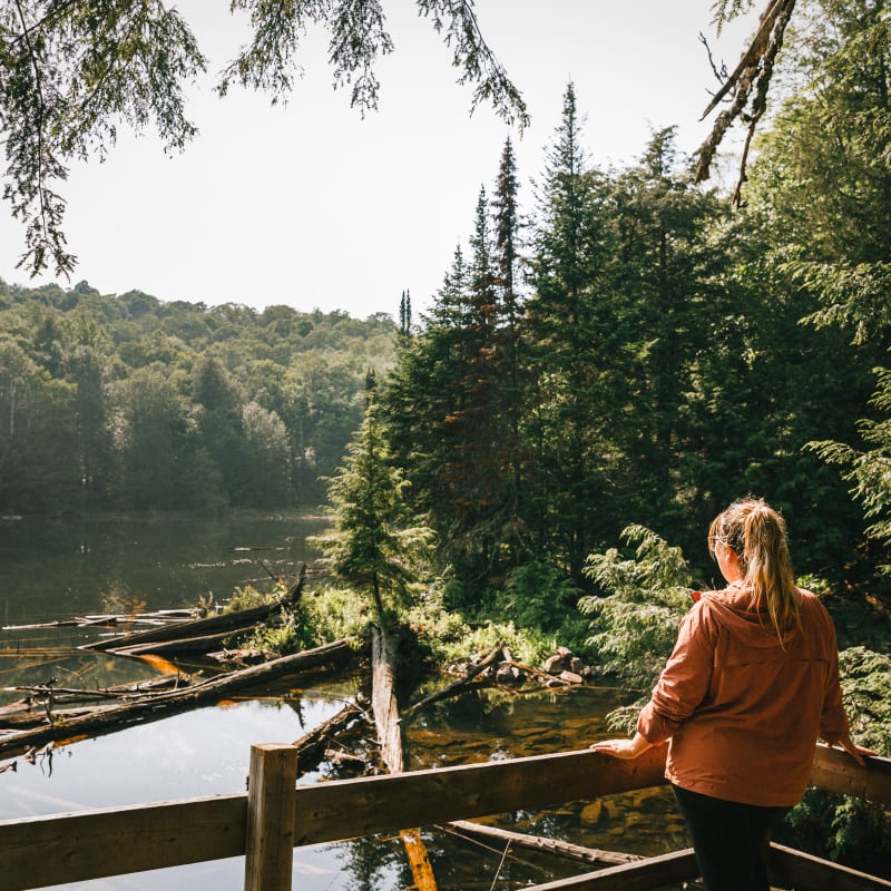 Interpretation trails and circuits in Petite Nation - A woman observing nature