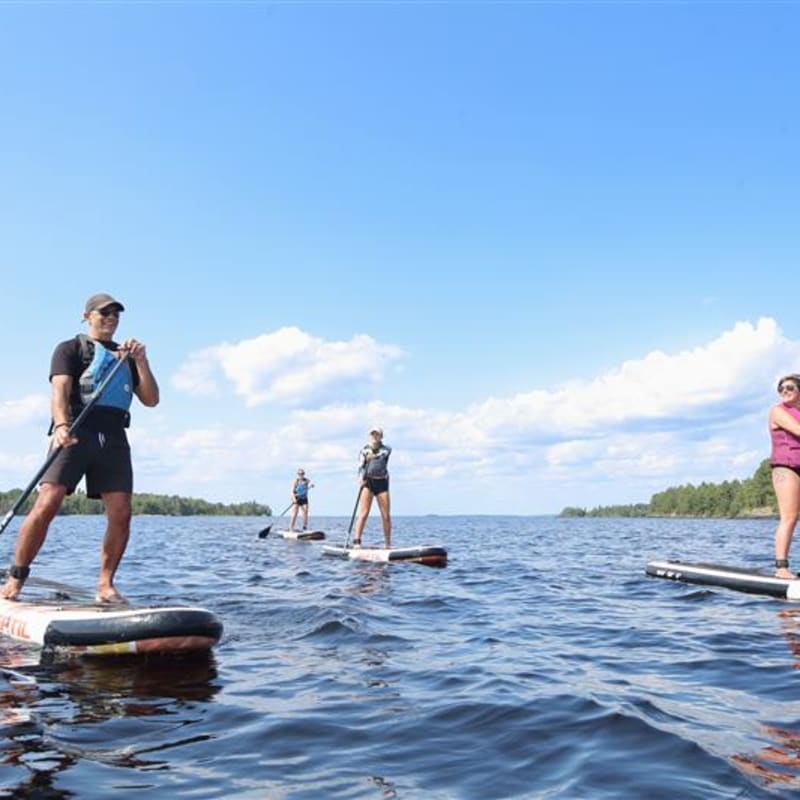 Group of people on stand-up paddleboards.