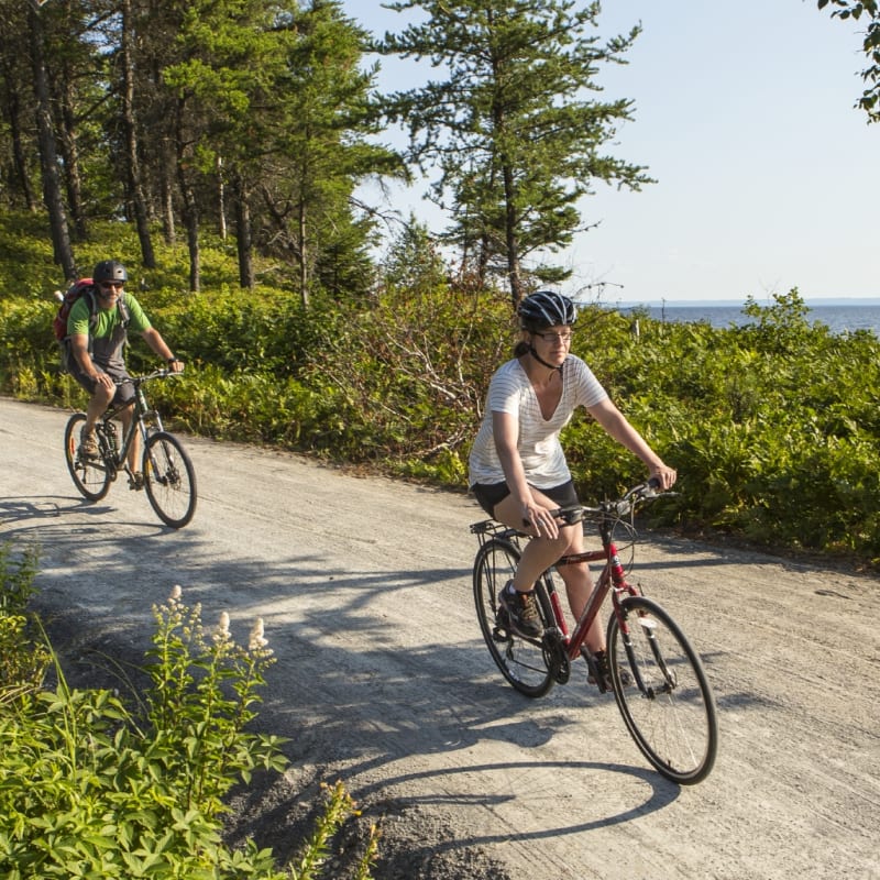 Two cyclists on a gravel bike path surrounded by greenery.