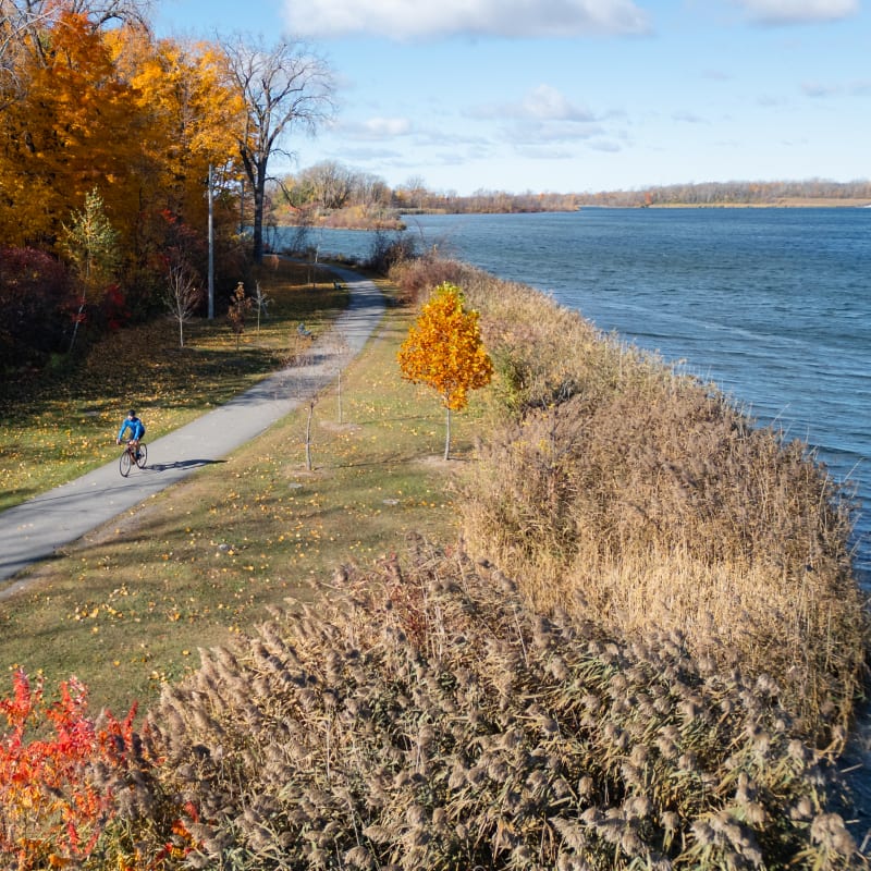 Destination Salaberry-de-Valleyfield - An individual cycling in autumn
