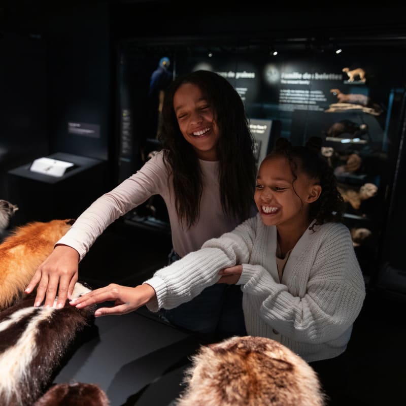 A Close-knit Nature enhibit