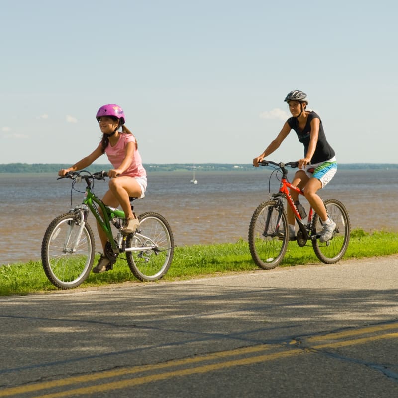 Two people on bicycles