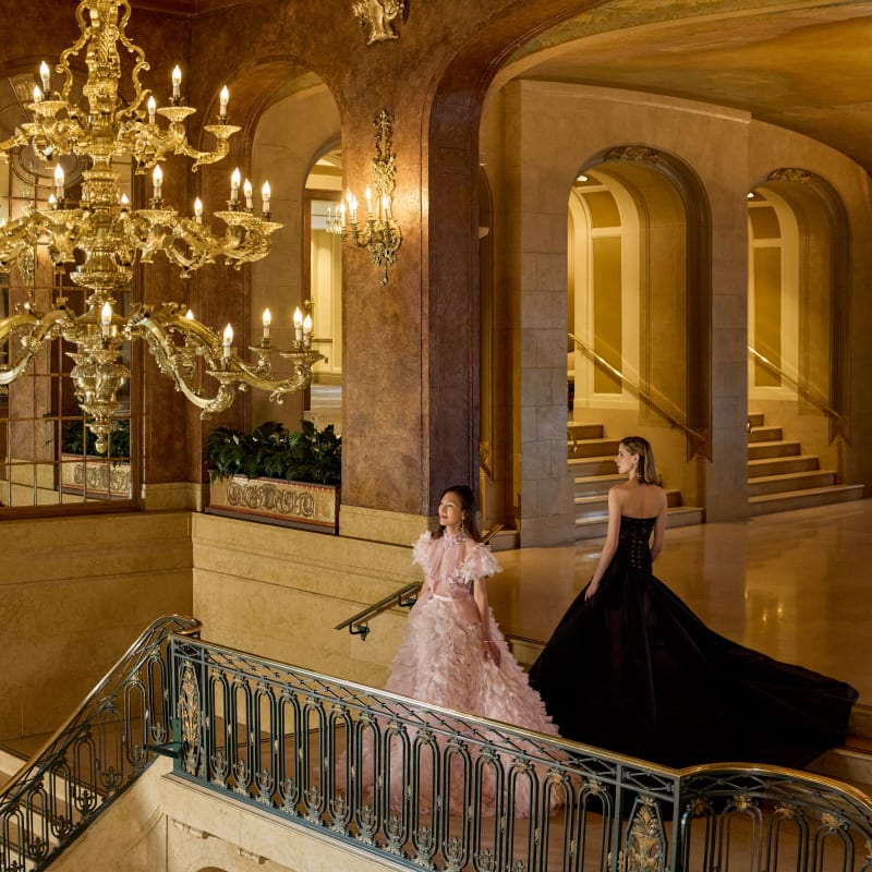 Two women in ball gowns on the stairs.