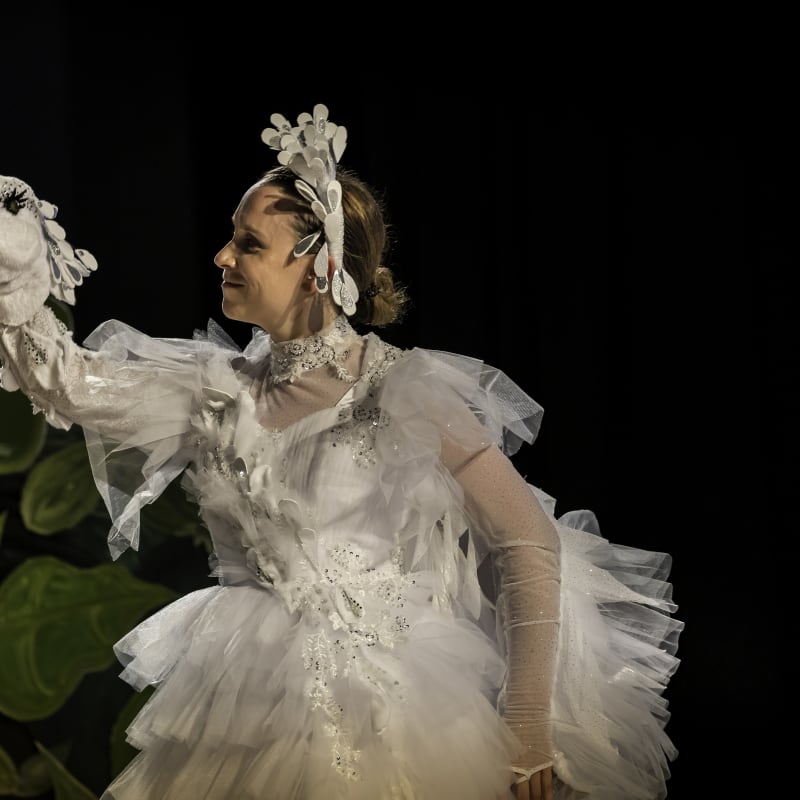 Festival d'opéra de Québec