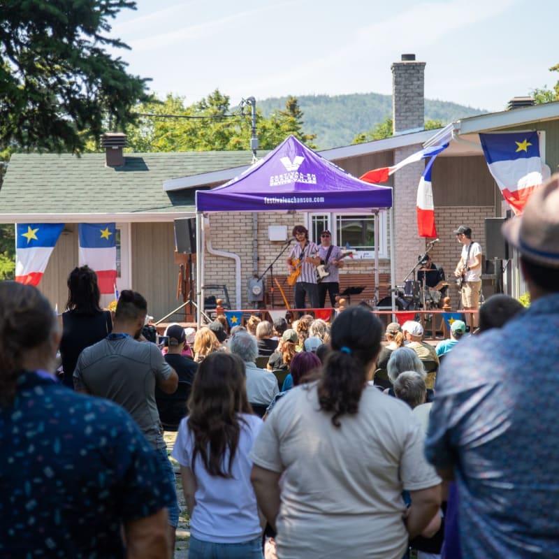 Crowd in front of a show happening on a patio next to a house.