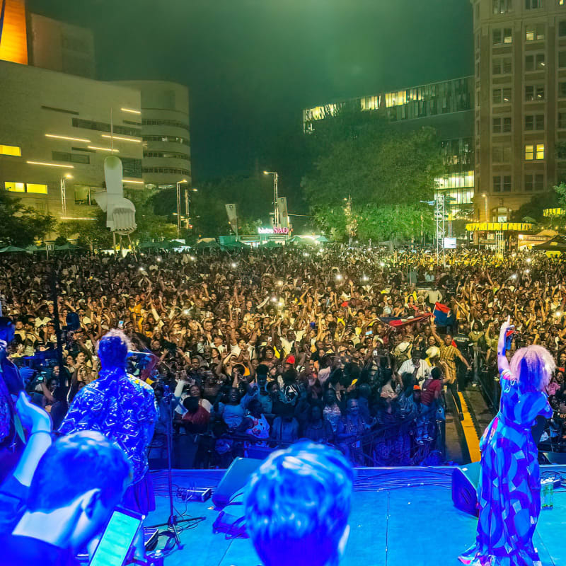 Festival international Nuits d'Afrique - Artists on stage