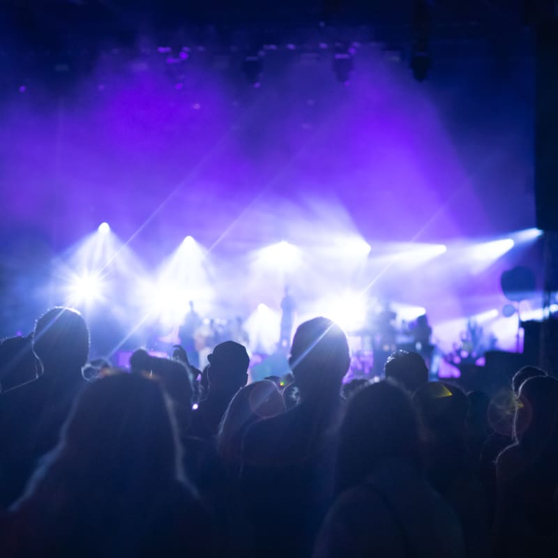 Foule de festival en soirée