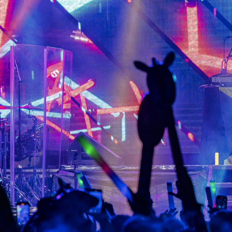 Riverside Festival - Artist on stage at an electro concert, with animated crowd and colored lights.