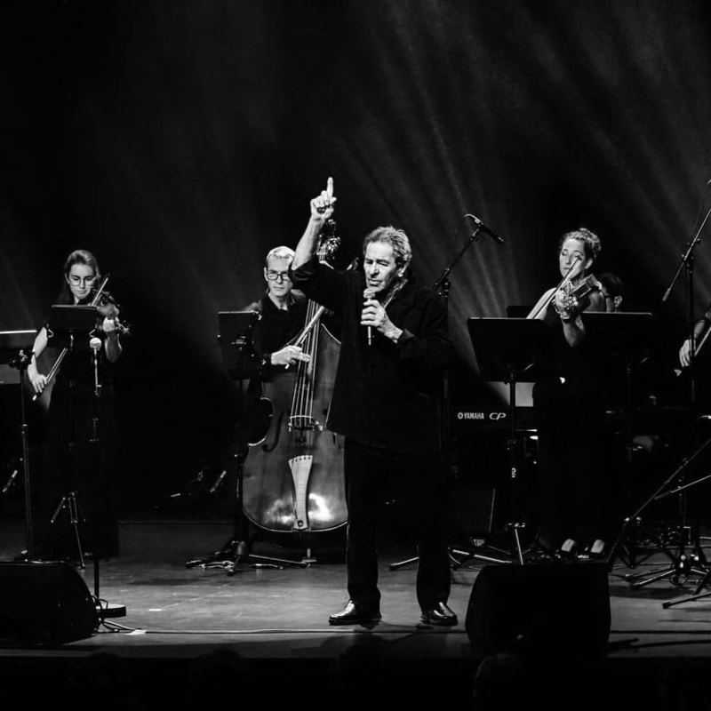 Festival Stradivaria