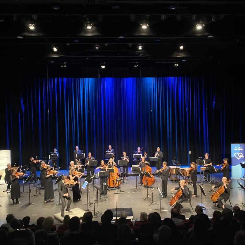 Festival Stradivaria