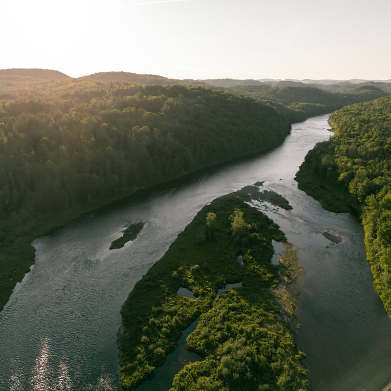 Forêt Ô Cascades