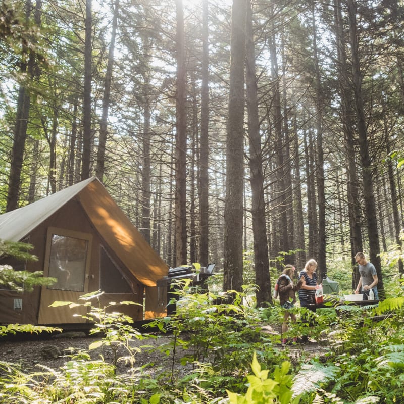 Ready-to-camp unit in the woods at Huttopia Sutton.