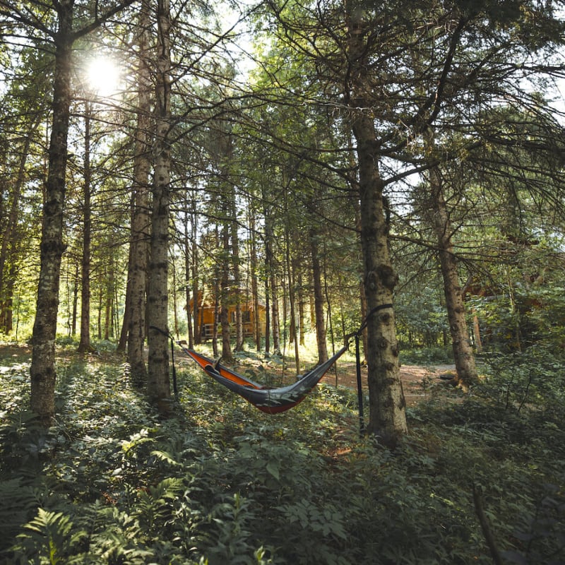 Hammock in the woods at Huttopia Sutton.