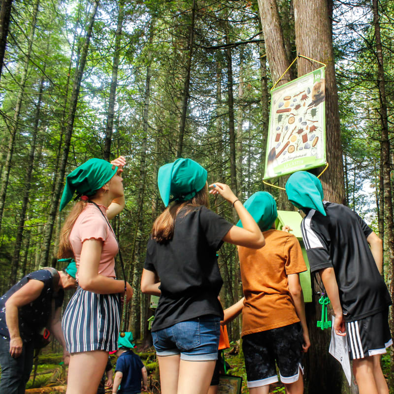 Kids with gnome caps on a treasure hunt in the forest.