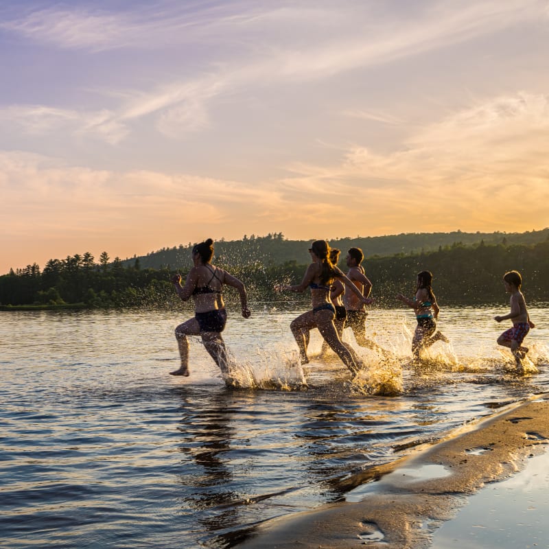 Groupe d'ami·es qui court se baigner dans le lac.