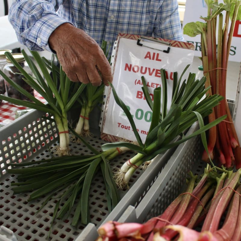 Marché du Terroir de Mirabel