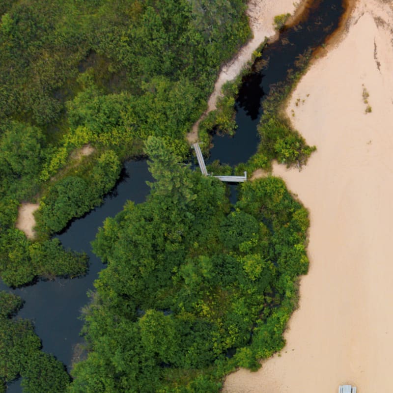 Aerial view of a beach