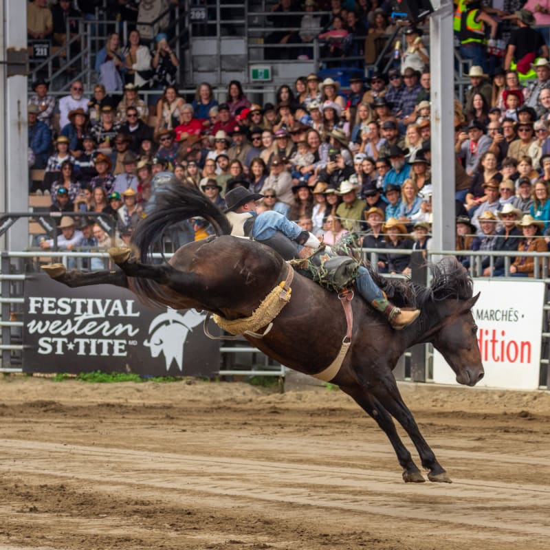 A man riding a horse in a rodeo