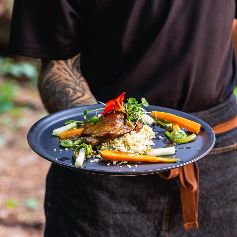 A plate of food
