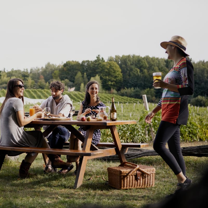  La Route des vins Brome-Missisquoi - Pique-nique au milieu des vignes à Dunham