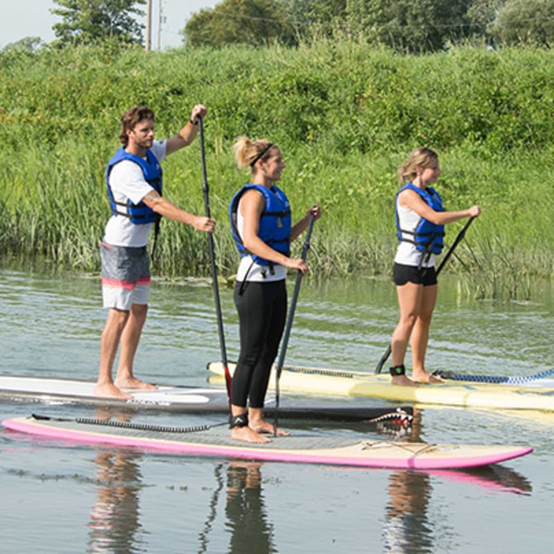 Go paddleboarding in Sorel-Tracy