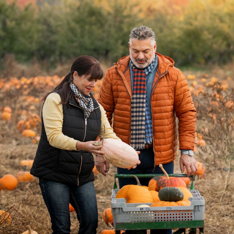 Inspiration for a fall getaway in Quebec