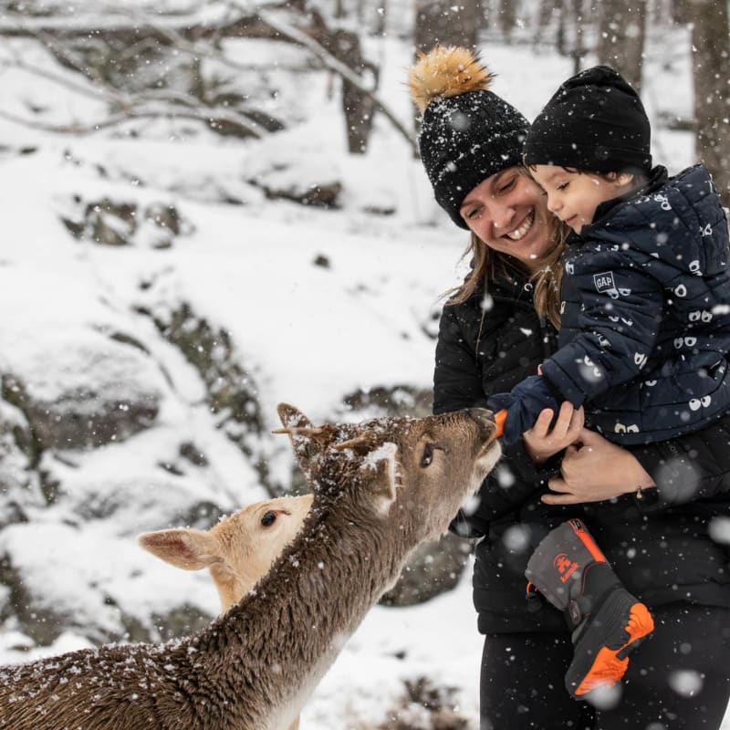 Ideas for a winter family vacation in Quebec