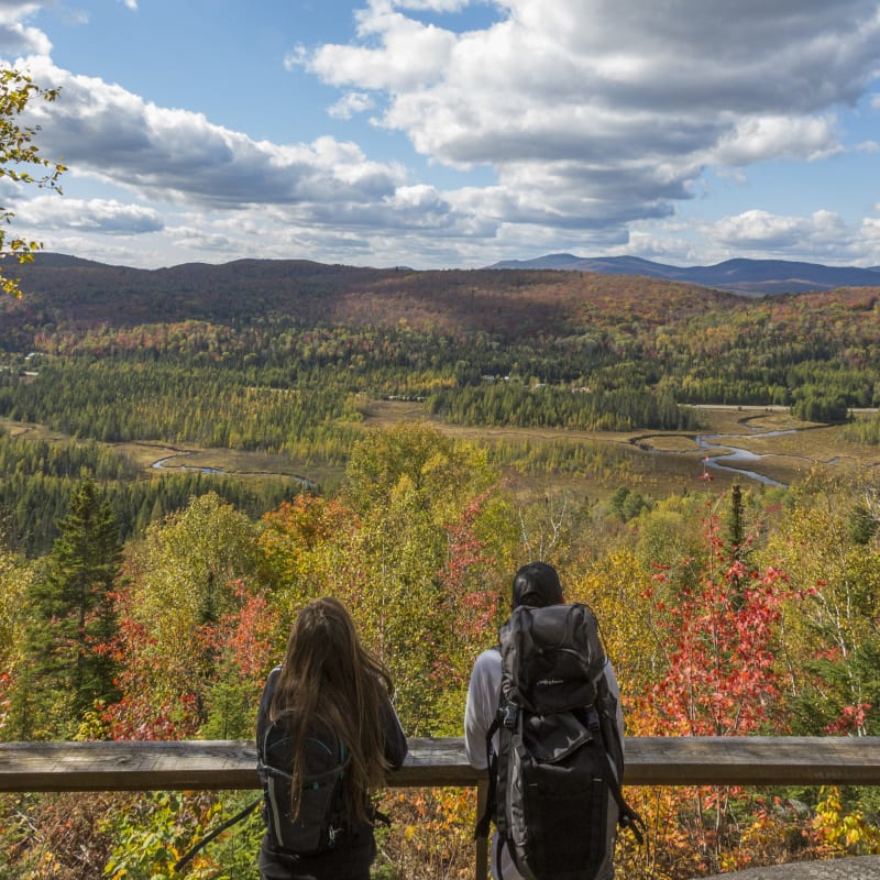 Perfect activities for a colourful fall with Quebec Adventure Outdoor - View from a lookout over the forest.