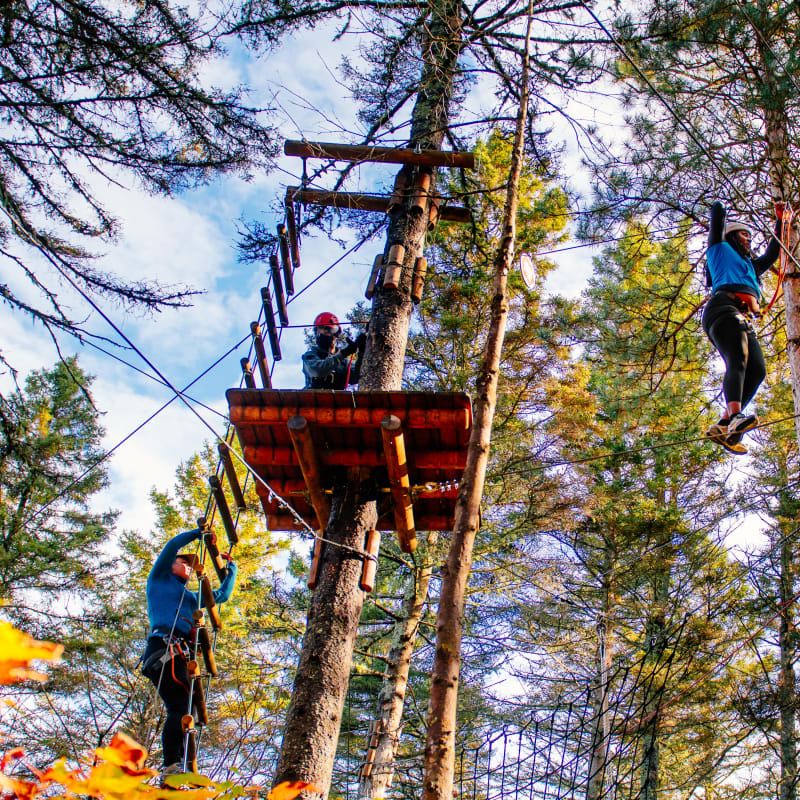 Perfect activities for a colourful fall with Quebec Adventure Outdoor - Aerial course